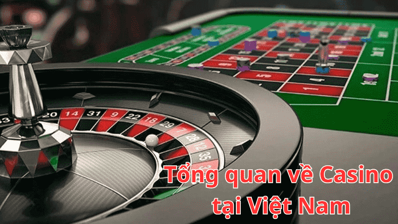 Khám phá top 10 nhà cái uy tín nhất hiện nay dành cho người chơi cá cược