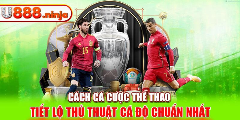 Khám phá bida game pc hay nhất 2024 dành cho tín đồ đam mê billiards